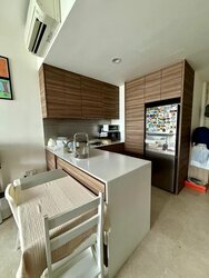 The Panorama (D20), Condominium #472963511